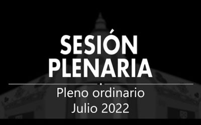 Sesión Plenaria | Julio 2022