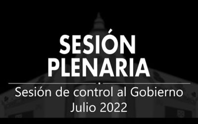 Sesión Plenaria | Sesión de control al Gobierno Julio 2022
