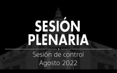 Sesión Plenaria | Sesión de control al Gobierno Agosto 2022