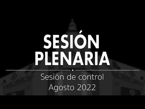 Sesión Plenaria | Sesión de control al Gobierno Agosto 2022
