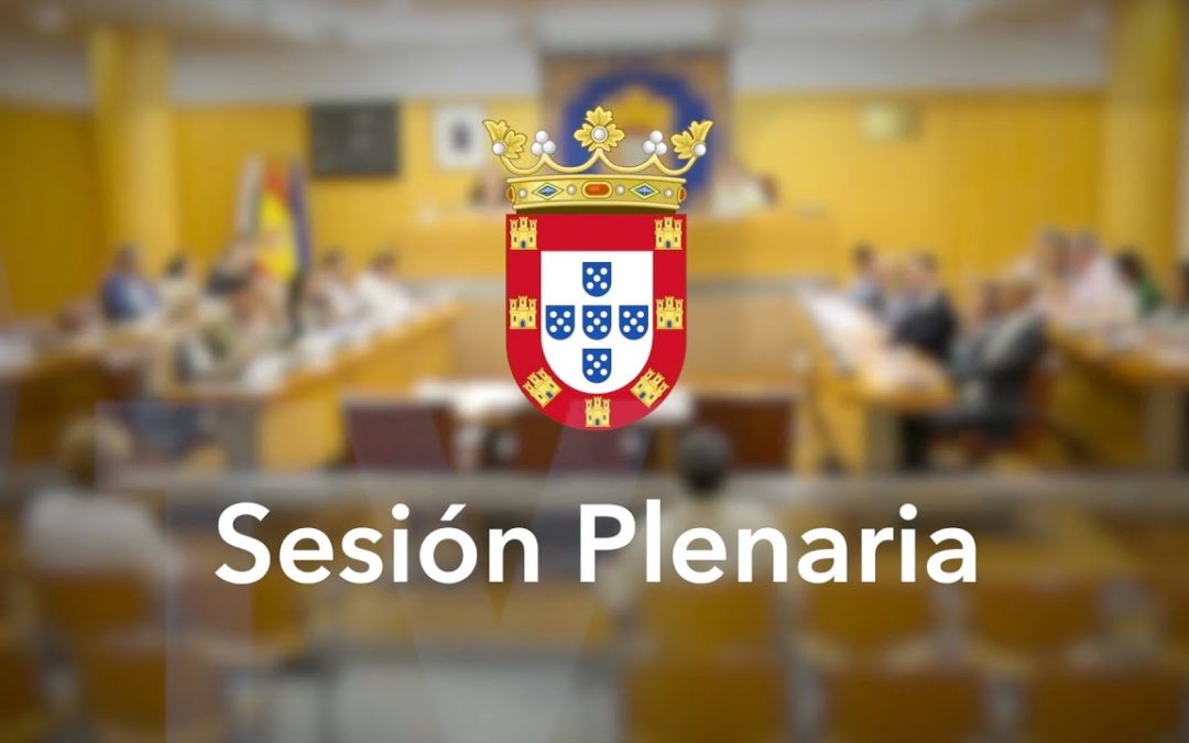 Sesión resolutiva del Pleno de noviembre 2021