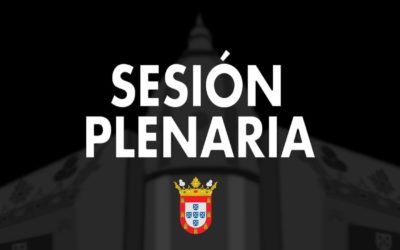 Sesión plenaria correspondiente al mes de enero de 2022