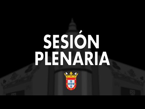 Sesión plenaria ordinaria de diciembre de 2021