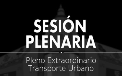 Pleno Extraordinario de Transporte Urbano