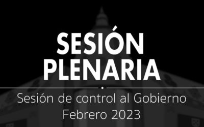 Sesión Plenaria | Sesión de control al Gobierno Febrero 2023